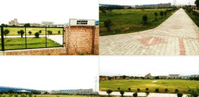 Park and Playground